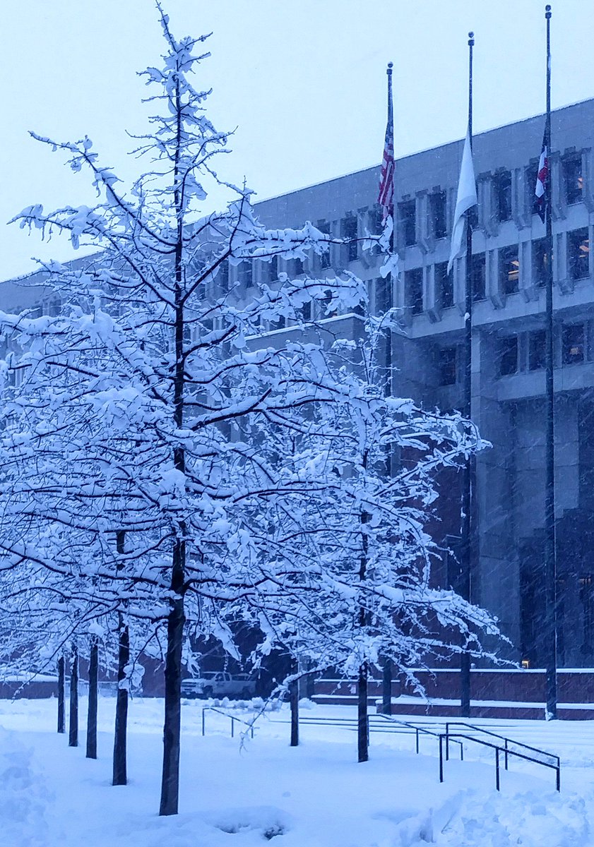 GaryBattiston's tweet photo. Love the way @bostoncityhall uses the delicate lace of snow-laden branches to offset its rugged arcitecture. https://t.co/fBCyCiCAzM