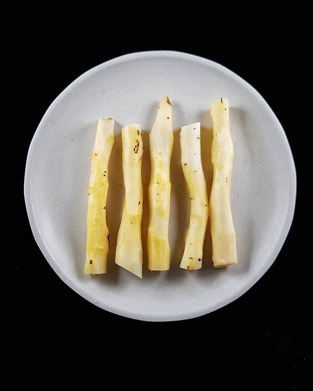 Woody salsify root, lacto-fermented. Crisp, tart, with a hint of oyster. #cubcave #fermentation #lactofermentation @lyan.cub