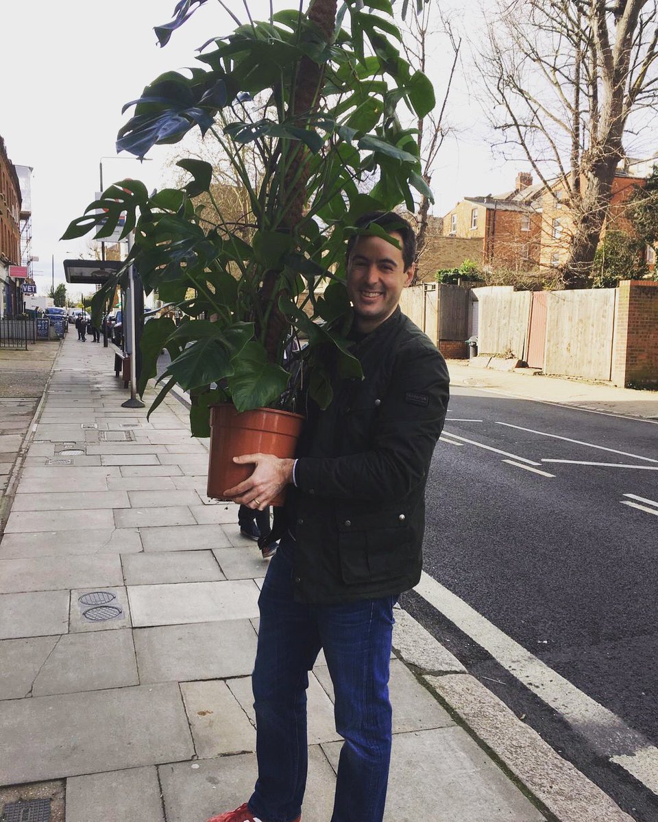 In2TheGarden's tweet photo. Monstera Monday mega style! Happy customers at 92 Mill Lane🌿 plants of all sizes & if there’s not please feel free to order the one that suits your space!
#monsteramonday #westhampstead #milllane #londonplants #londonplantshop #homeandgarden #botanicalstyling #nw6 #nw10 #w10 https://t.co/PVvXqtUKcI