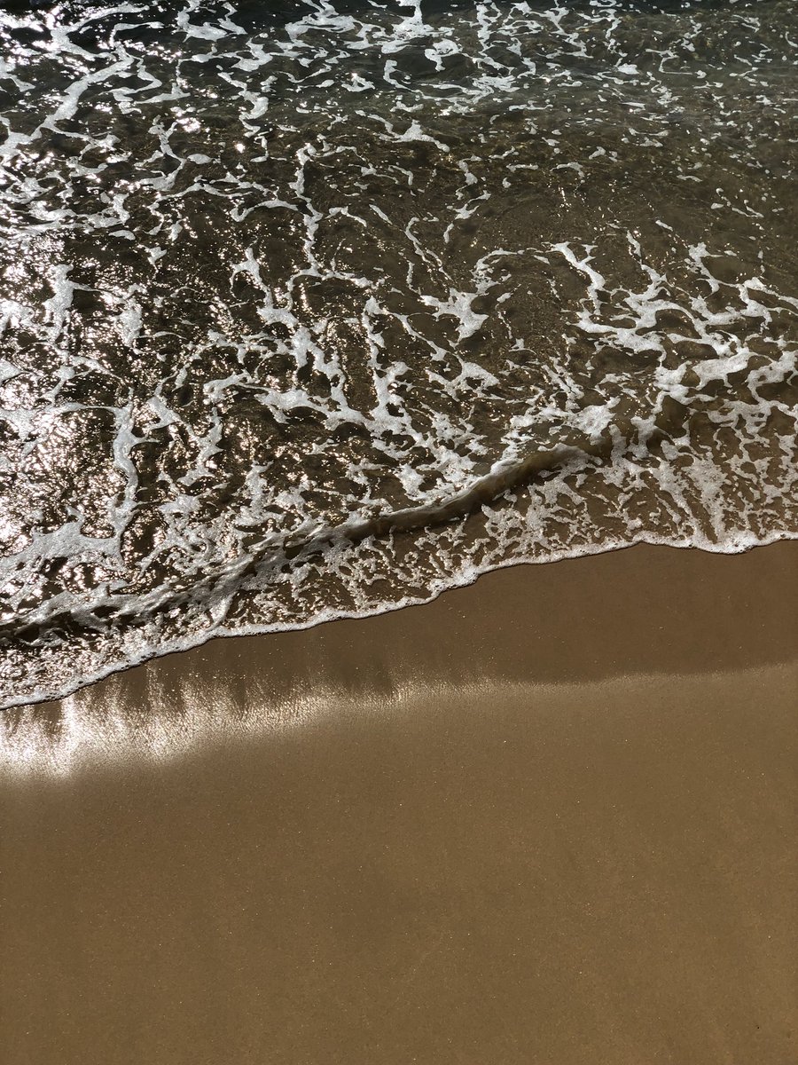 olga_torne's tweet photo. Barcel🌊
https://t.co/0R6tSEAj7G
#barcelona #sea #sun https://t.co/0mQ5OJj3nJ