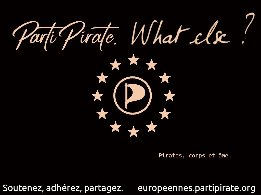 PartiPirate's tweet photo. "#europeennes2019, what else ?" #BeCandidate https://t.co/lPr8YLr1iY