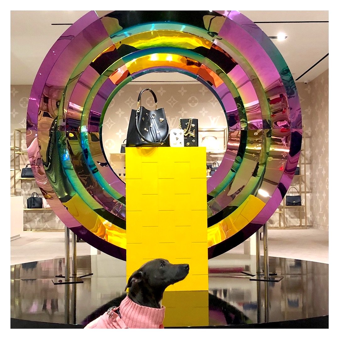 BFPLny's tweet photo. Dog spotting in @louisvuitton at #BFPLNY 🐕 https://t.co/crmOPjHdWe