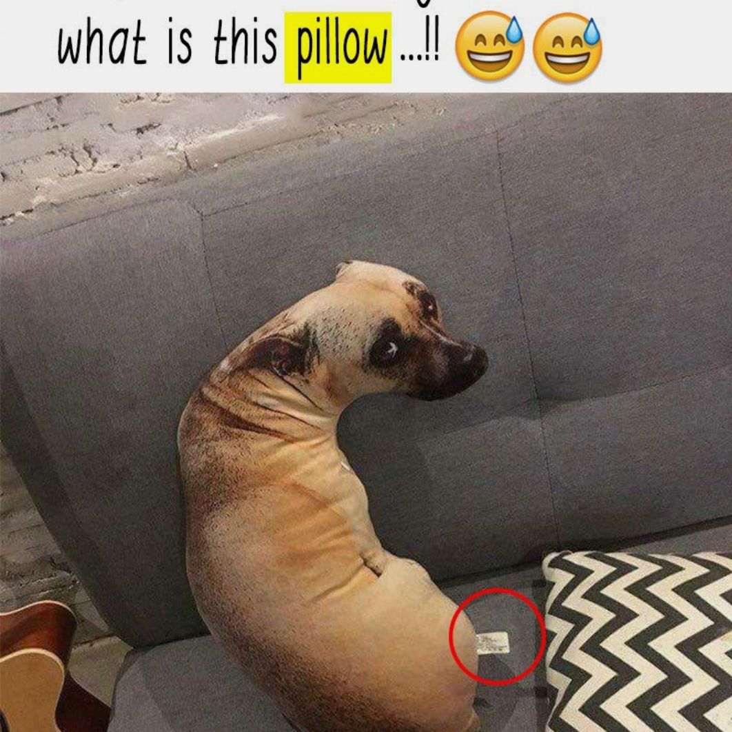 PerfectLookpmu's tweet photo. No way. Fooled me too!!🤣
#pillow
#jokes
#whatalaugh
#laughingisgood
#laugh
#funny
#funnyjokes
#jokes
#pranks
#haha
#laughmore
#pmutrainingaustin
#strongissexy
#yes
#stilllaughing
#omg
#microbladingaustin
#theperfectlook https://t.co/9sxVRUP7Ju