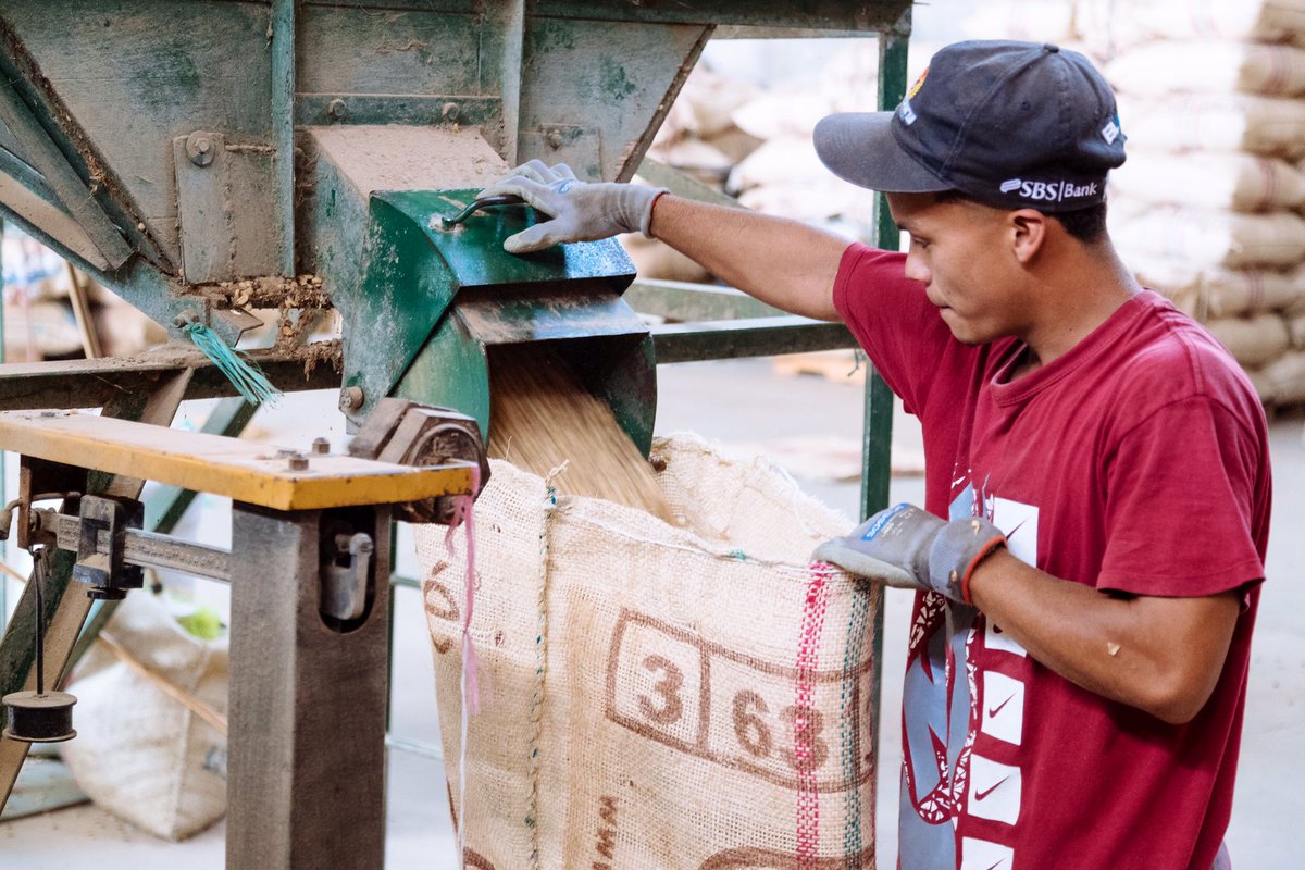 Lindfield Coffee Works tweet media