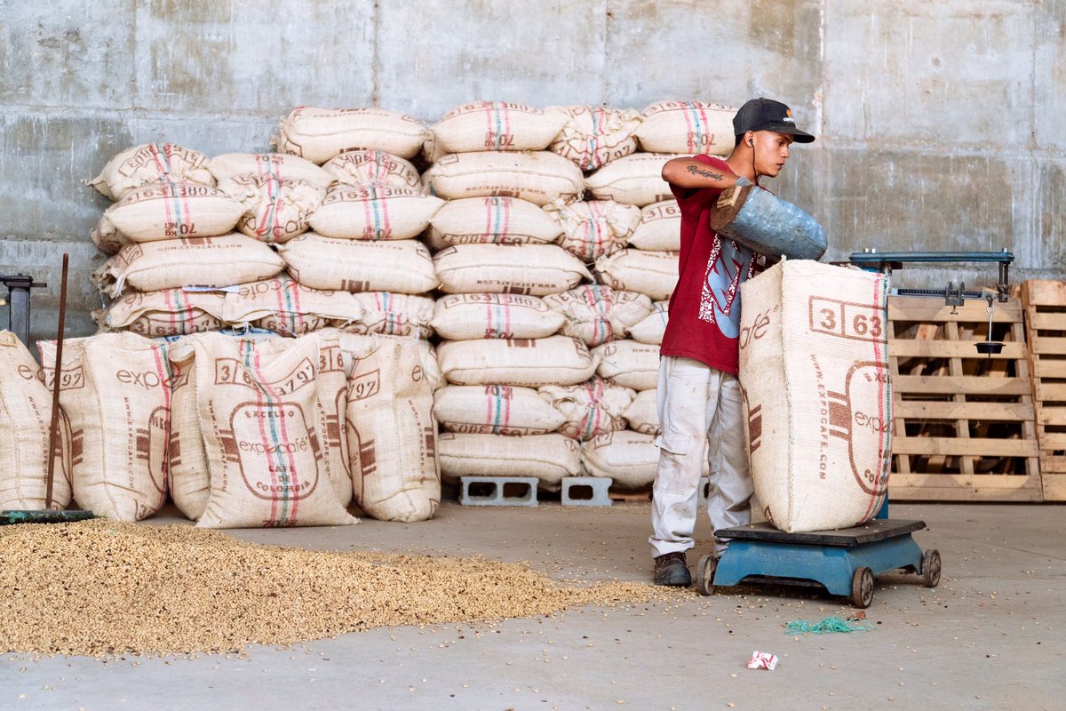 Lindfield Coffee Works tweet media