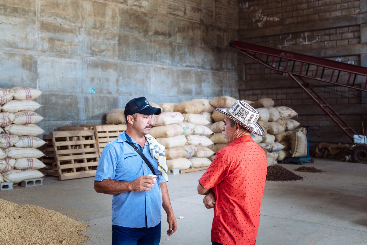 Lindfield Coffee Works tweet media