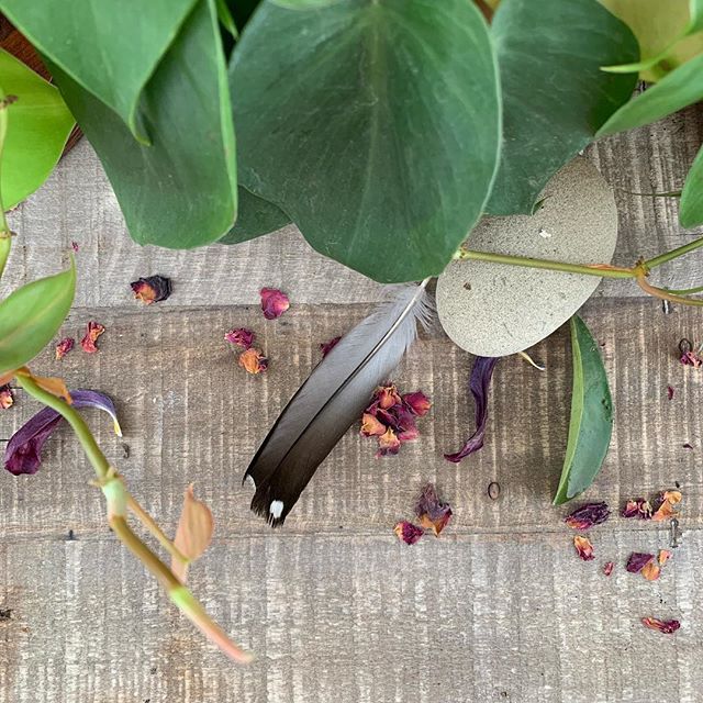 PixieCurio's tweet photo. What will you do with this one magickal, miraculous life? How will you wield your power? . I feel a crossroads approaching as I finish my Light Seer’s guidebook... like an awareness of the future rushing in. . One word keeps coming to mind -> ‘healing.’ I… https://t.co/5V9L1ZwKZ9