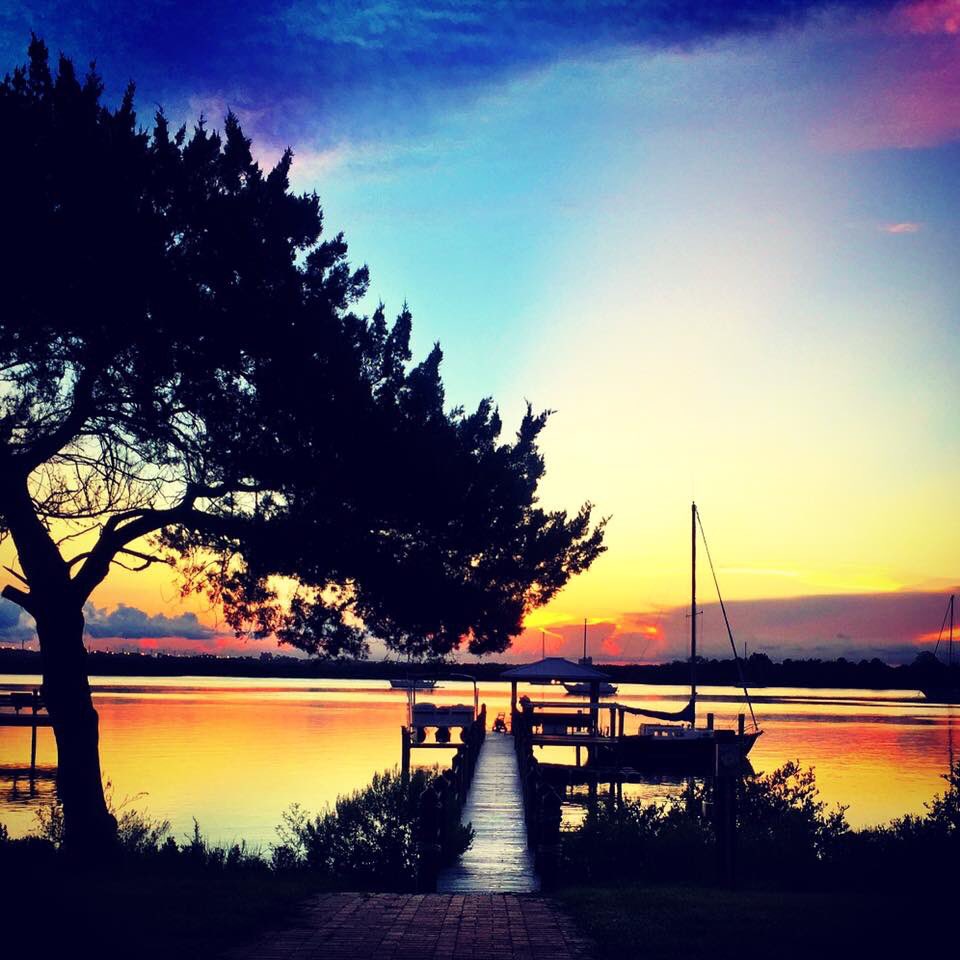 Mrs. Hemingway tweet media