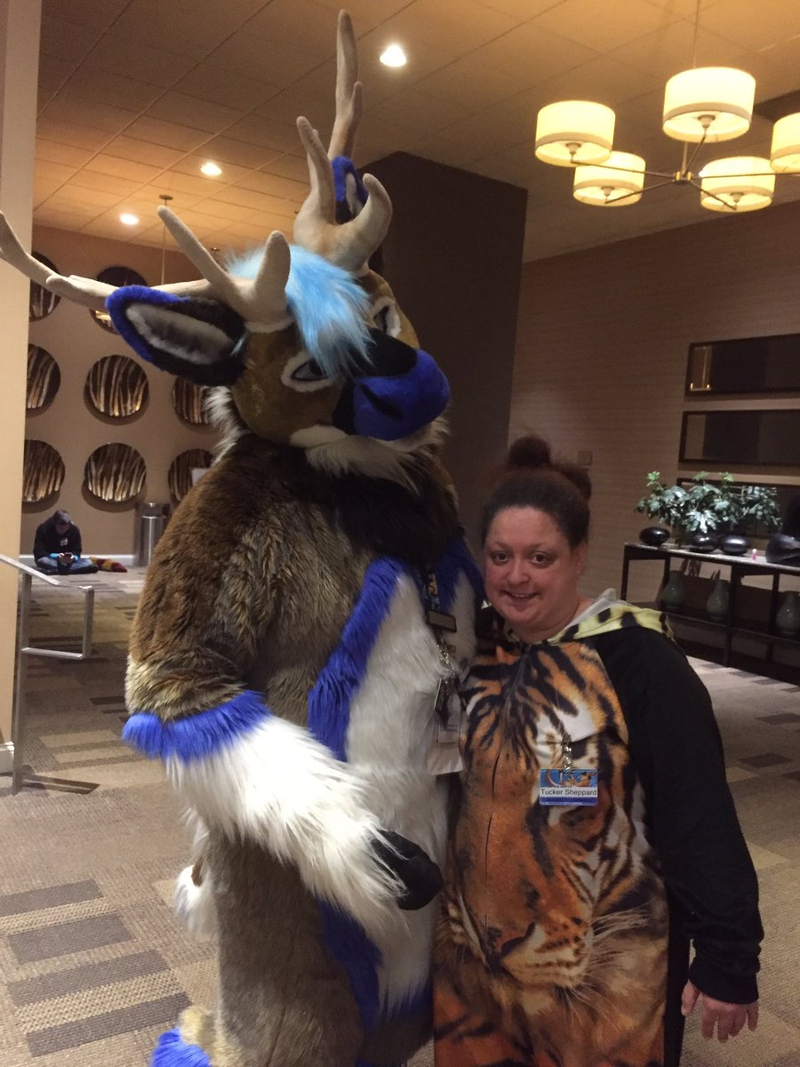 lttiger26's tweet photo. I am trying to find out who this deer is!! He is so handsome!! I got to see him @GatewayFurMeet this weekend!! XOXO!! #GFM19 https://t.co/R8R4Qjk8Qm