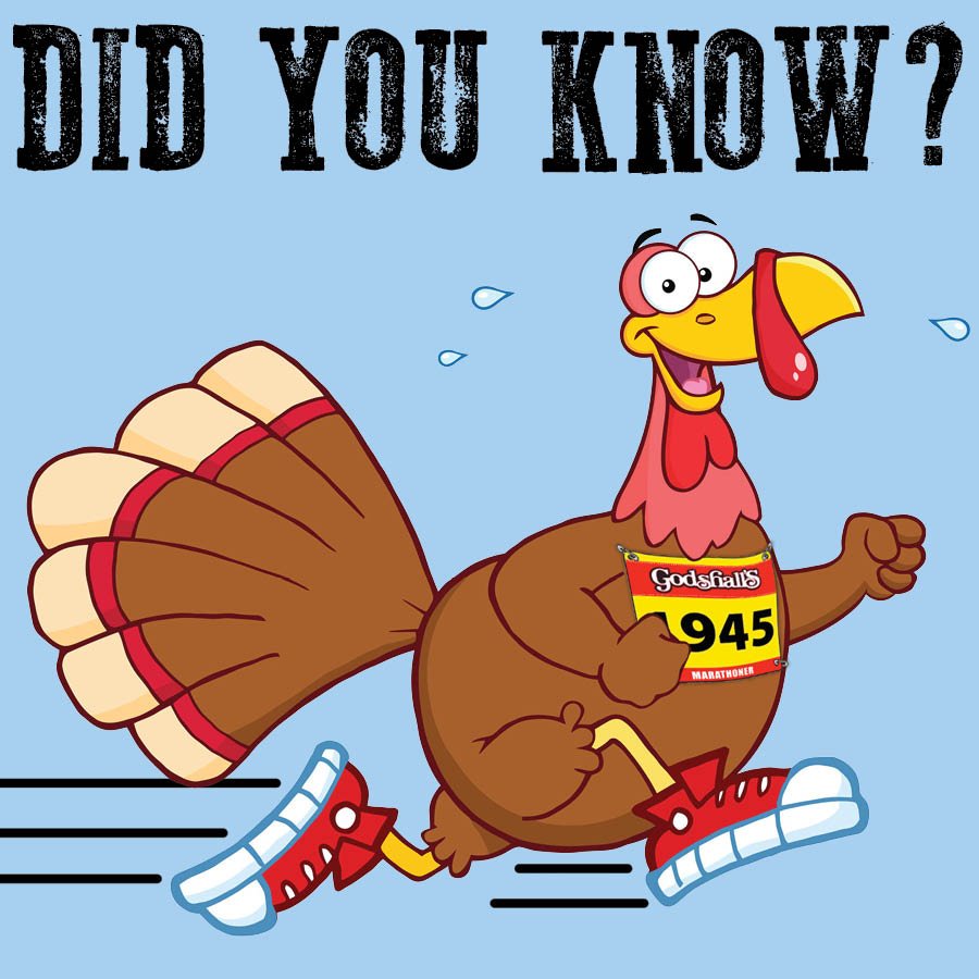 GodshallsMeats's tweet photo. DID YOU KNOW? Wild turkeys can run up to 25 miles per hour! #Godshalls #GodshallsQualityMeats #TurkeyBacon https://t.co/IwSjGvoG3m