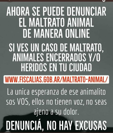 titilourdes's tweet photo. @marcieuk Como q lo tiran a la ruta?? Hdmp.. denuncialos eso tb es maltrato.. ojala encuentre rápito aunq sea transito https://t.co/y6U5ukdOSK