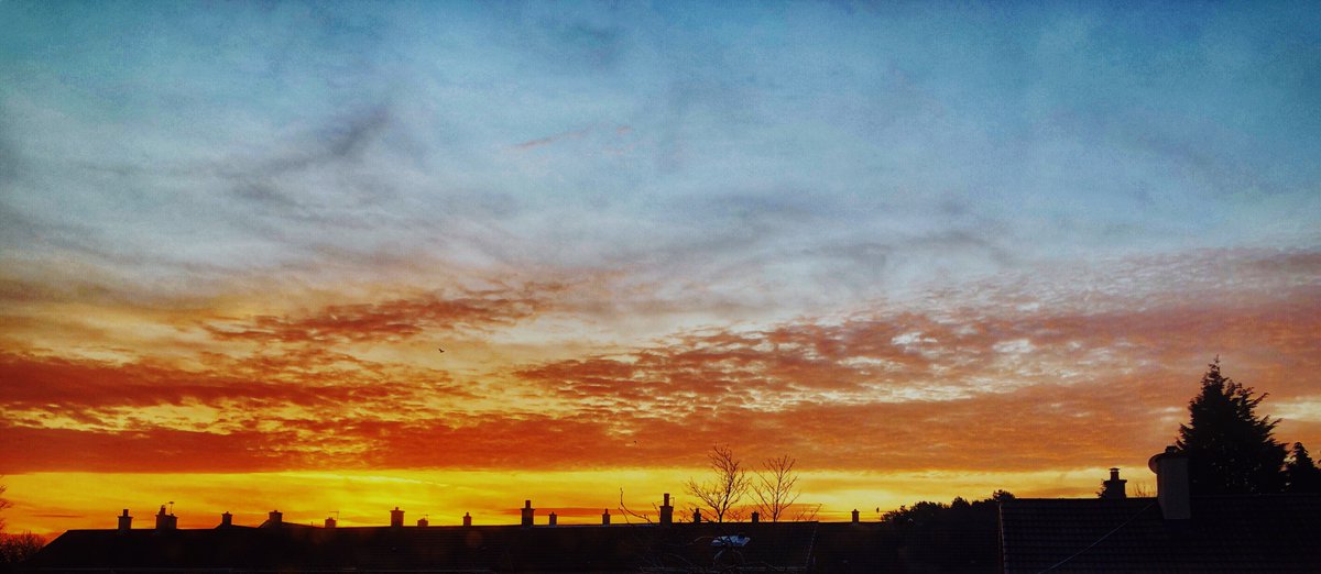 susankmann's tweet image. Our week in words and pictures. This week it&apos;s been about hair, wedding, gymnastics and a pretty orange sky. You can read all about it here. How has your week been?

susankmann.com/2019/03/hair-u… #ScottishBloggers #ScotBloggers @scotbloggers