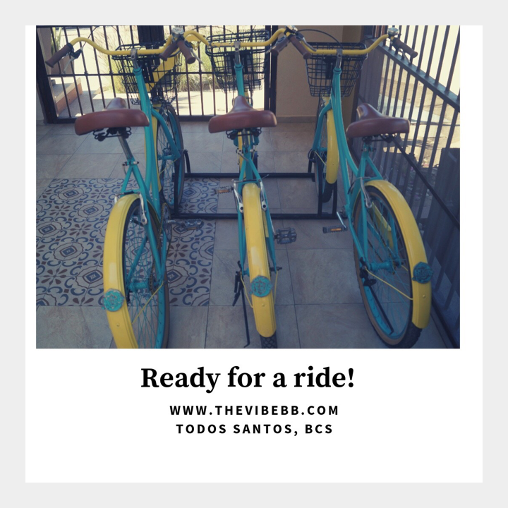 thevibebb's tweet photo. Ride with us around town 🚲
Start March staying with us and start feeling The Vibe! 
https://t.co/z3OW6S7czP
.
.
.
#march #newweek #todossantos #bedandbreakfast #bcs #funride #vintagebikes https://t.co/Bt9fWiotB9