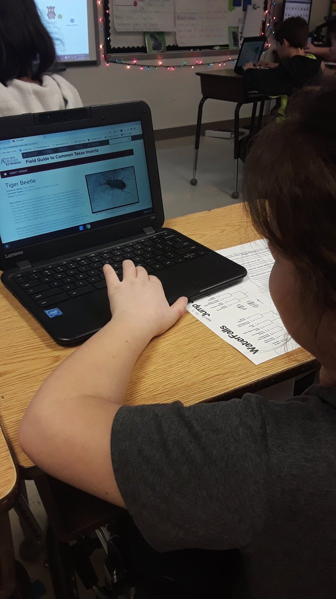 PaigeEubanks92's tweet photo. I've never seen kids so happy for it to be the month of March.The kids came in READY to look up animals and the information needed to pick their brackets. They even wanted to do it during math time.πππ
#3rdGradeScience #FloCoScience #MarchMammalMadness2019
#MMM2019
#FloydPLN https://t.co/Lp4KMSu6J4