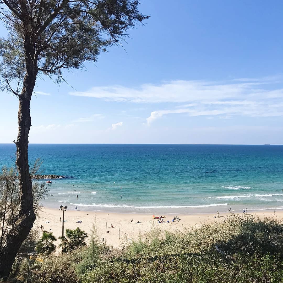DavidTowerHotel's tweet photo. David Tower Hotel is a sea-side lover’s dream. With the beach on your door-step, you can take a stroll through the sand in the morning, or a refreshing dip in the sea in the afternoon 🌴🌊. Which would you prefer?  📷IG: gonetanya https://t.co/GLoBHH31aY