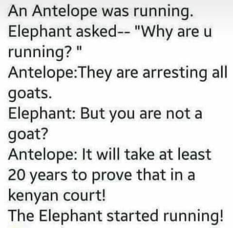 ahmednasirlaw's tweet photo. An apt description of the Kenyan Judiciary @lawsocietykenya @NLM_Magazine @DonaldBKipkorir @kipmurkomen @makaumutua @WMutunga https://t.co/Em4dbZvBBu