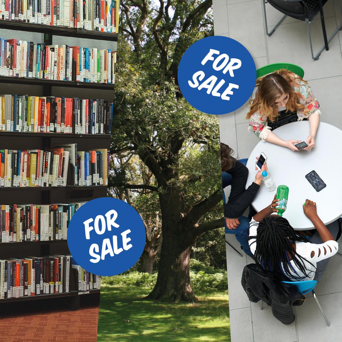 Libraries, parks and community centres are at the heart of our neighbourhoods. 

But thanks to devastating Tory cuts, councils are being forced to sell these spaces – just to make ends meet.

Labour will end austerity.