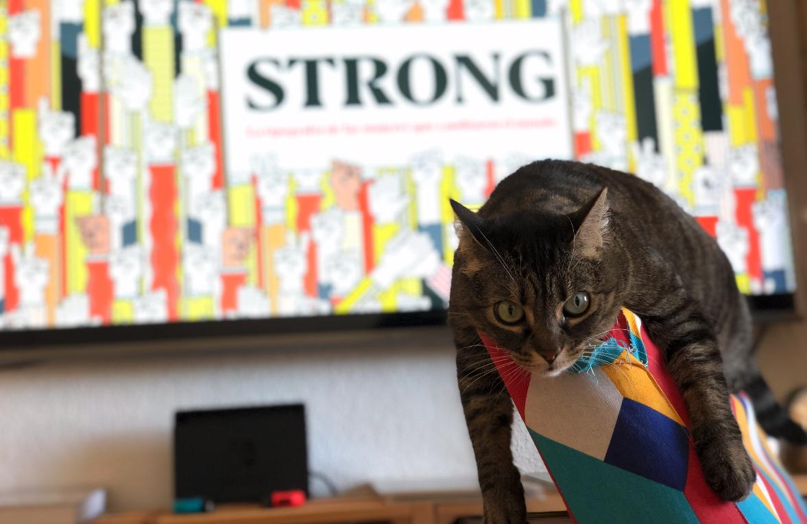 libroscom's tweet photo. Hoy tenemos una campaña muy especial que enseñaros. Incluye diseño, tipografía y esta preciosidad de gato. ¿Te vienes a descubrirla con nosotros? https://t.co/K7tVXrsCo7