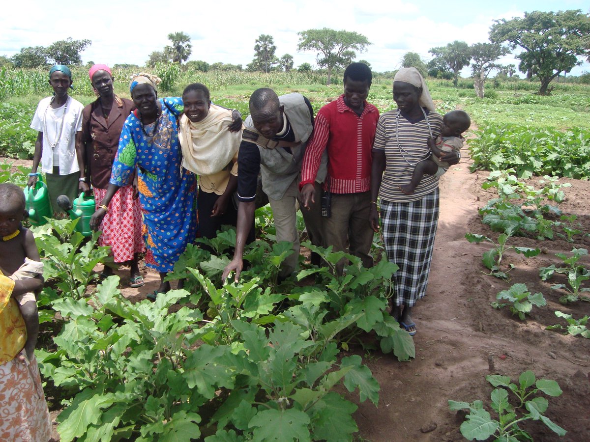 Huge thank you 2 the Buy Out Company! They sponsored  “Flip for Education”. They completely renovated a house in 72 hours. The net proceeds went to educational projects = Diar Foundation’s Women’s Farm School. Thank you for effecting #realandlastingchange #womeninsouthsudan