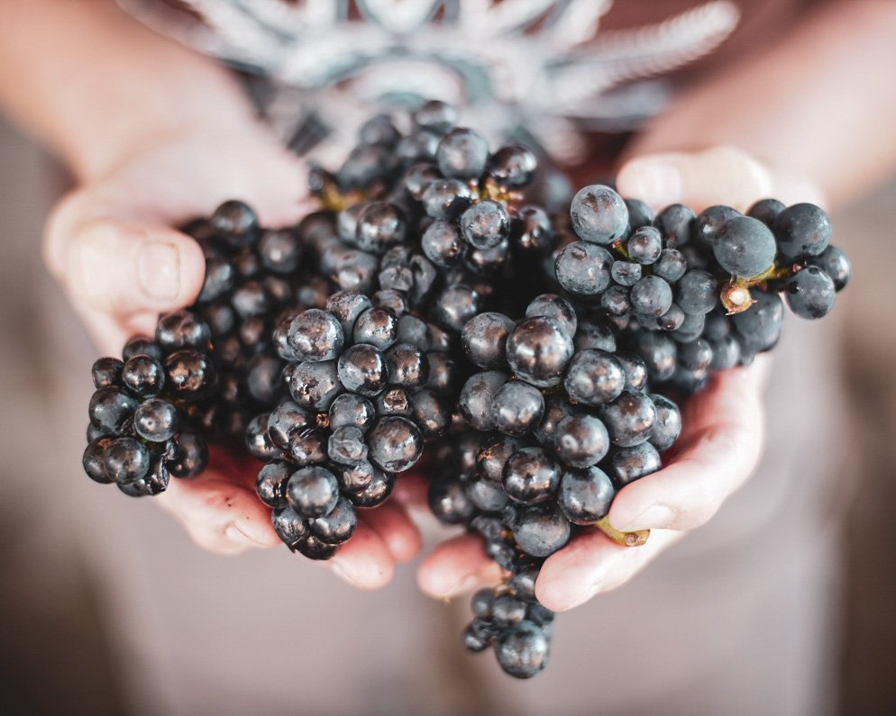 Interested in #organic wines?
We have some great wineries with organic wines at <a href="/ProWein/">ProWein</a> 2019!
Visit our stand to meet:
<a href="/SeresinEstate/">Seresin Estate</a>
@huia_vineyards
<a href="/RockFerryWines/">Rock Ferry Wines</a>
<a href="/SchubertWines/">Kai Schubert</a>
#KonradWines

#Hall9StandE36 

Visit Hall 9 Stand 33 for more organic #nzwine <a href="/BABICHWINES/">Babich Wines Limited</a>