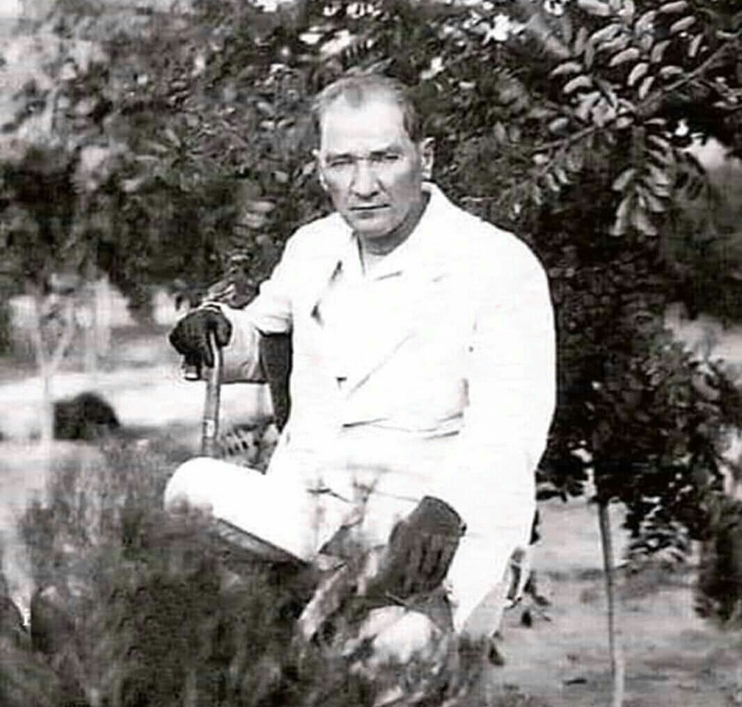 Mürvet Aytar tweet media