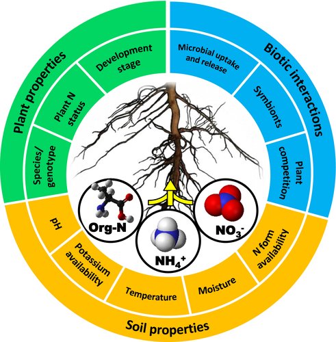 view electromagnetism paths to