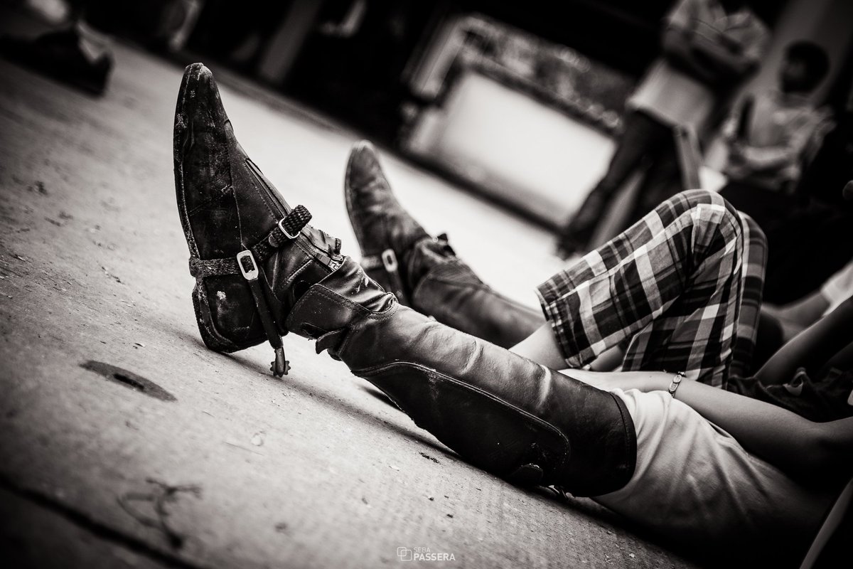 #equitation #showjumping #jumping #horse #cheval #reiten #equine  #showjumper  #showjump #canonphotography #Horses <a href="/FEI_Global/">The FEI</a> <a href="/fea/">fea</a>