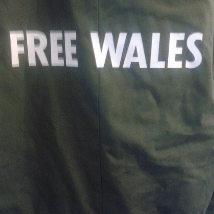 KeithParrycdf's tweet image. In or Out of the European Union. We have had enough of the idiots in Wastemonster. £ 79.000 for MPs,what a waste of money. SACK THE LOT OF THEM!. FREE WAles!