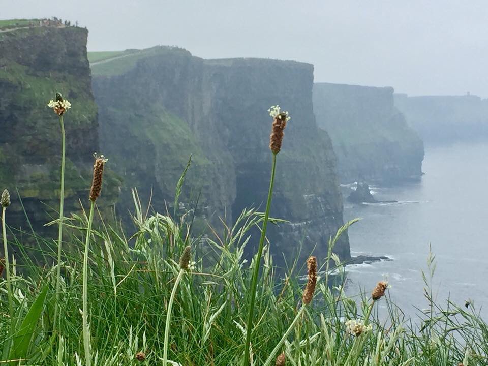 Private Tours Ireland tweet media