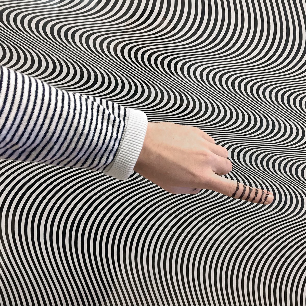 From the @themuseumofmodernart drawing series.
A while back I spent a few days wandering the permanent collection at the MoMA,
creating sketches that interact with the art on the walls.
(Art: Henri Matisse and Bridget Riley)