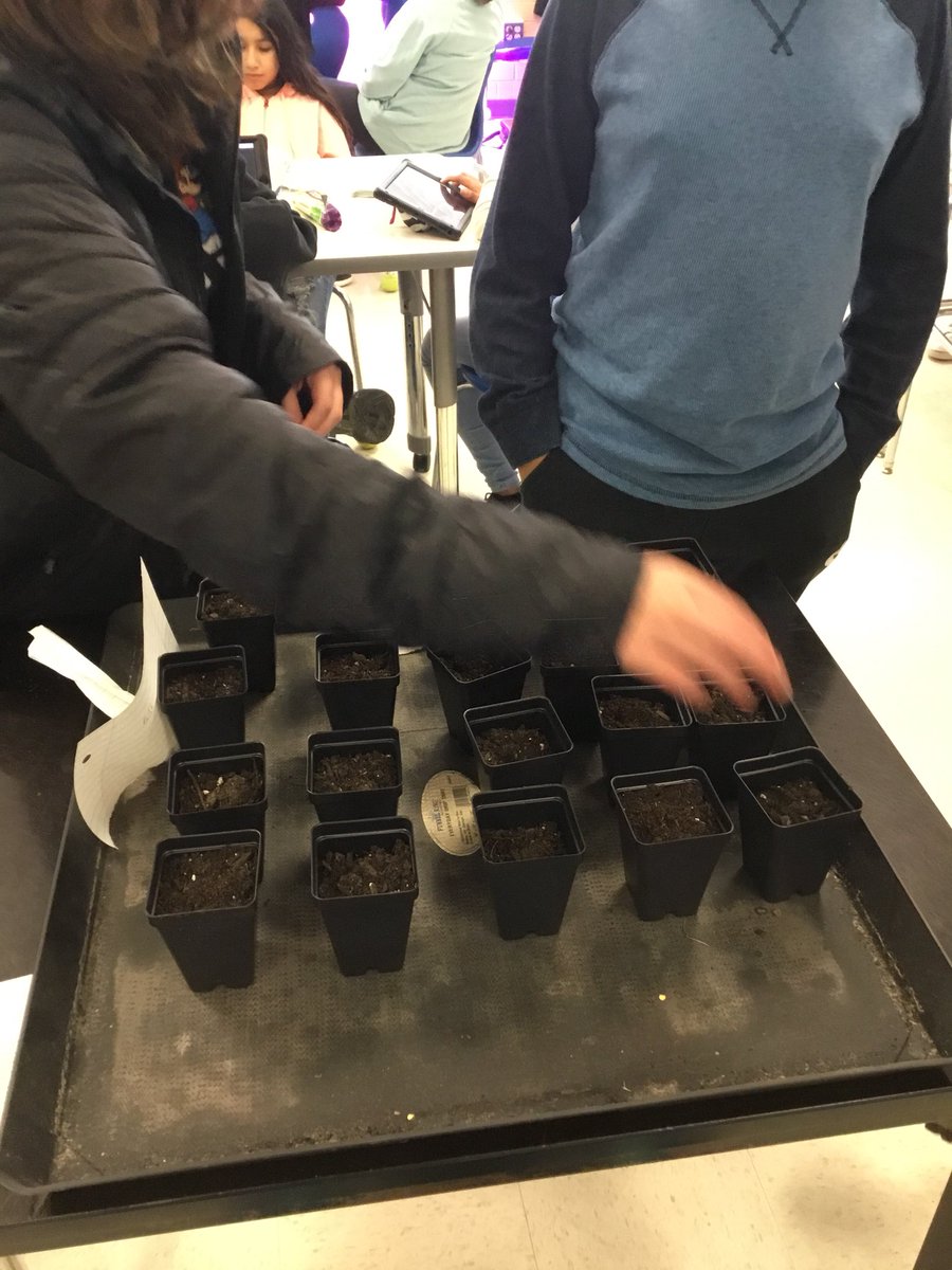 mrStonerScience's tweet photo. Growing vegetables indoors (hopefully)! #alienlight https://t.co/Q6qV8EM7oT