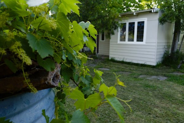 Ottawa homeowners experience ‘granny flats’ nightmare
Some Ottawa homeowners are stuck in legal limbo after a builder of “granny flats” or coach homes, left them with half-finished buildings in their back yards.
legalblogs.findlaw.ca/legal-life/ott… #legal #Ottawa #grannyflat