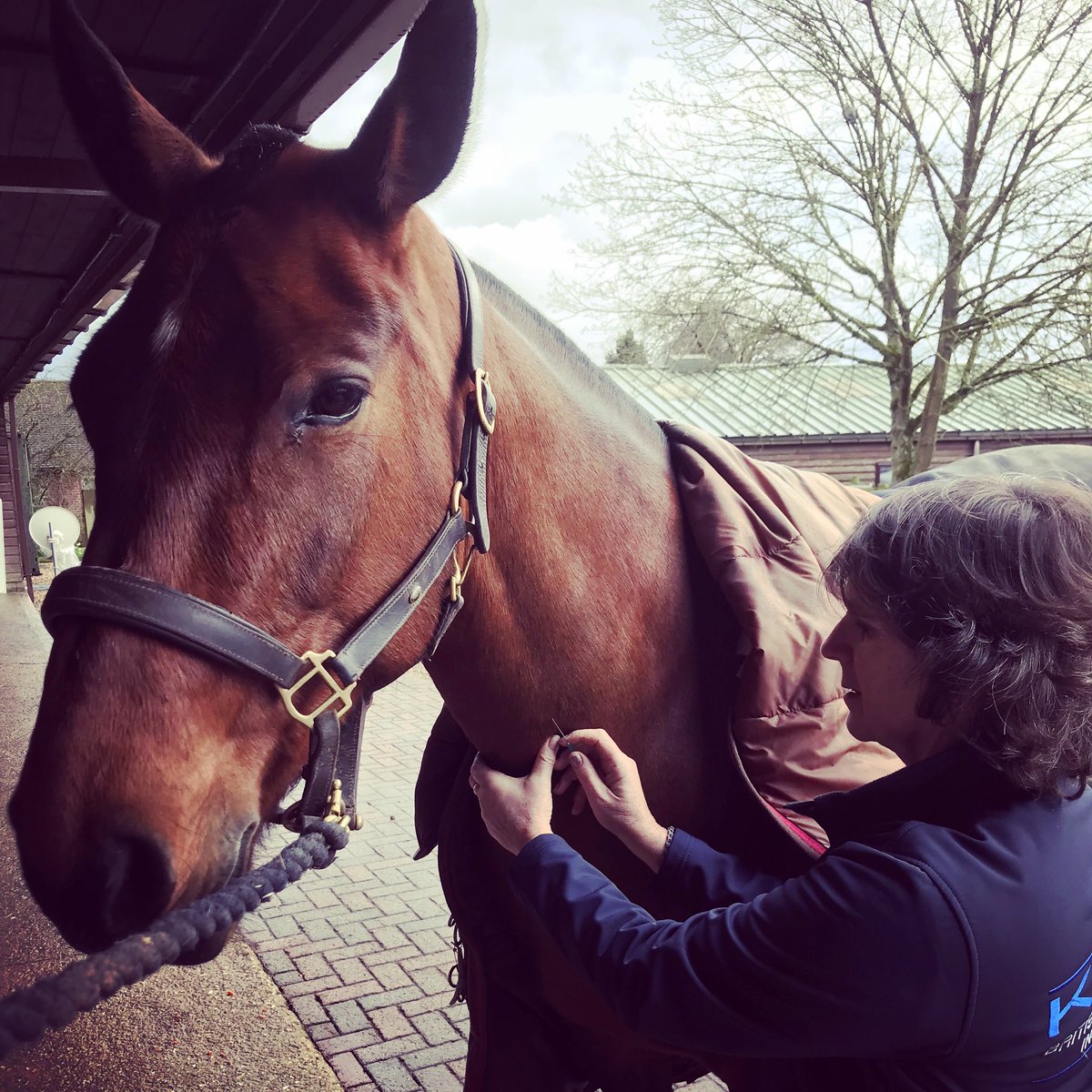Our latest ‘Vet’s View’, from Dr Annie Bevins, talks through the recent equine flu outbreak and the importance of vaccinating. Read the full article here: bit.ly/equineflu #knowledge #vetsview #kbisinsurance #wevegotyoucovered