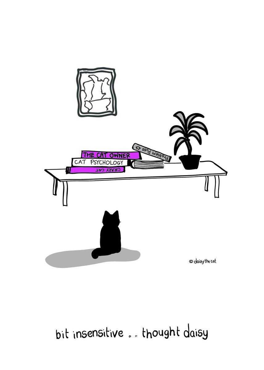 DaisyTheCatUK's tweet photo. we all need a book now and again #daisyslife #life https://t.co/nXeBUiA3d4