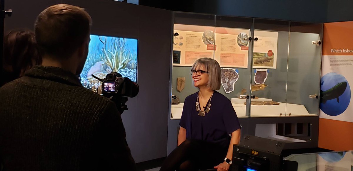 UMMNH's tweet photo. @umichLSA Interim Dean Elizabeth Cole is interviewed for a video about the new museum. 

 #umsocial #umlsa #ummnhgrandopening https://t.co/ckXhRaYxdD