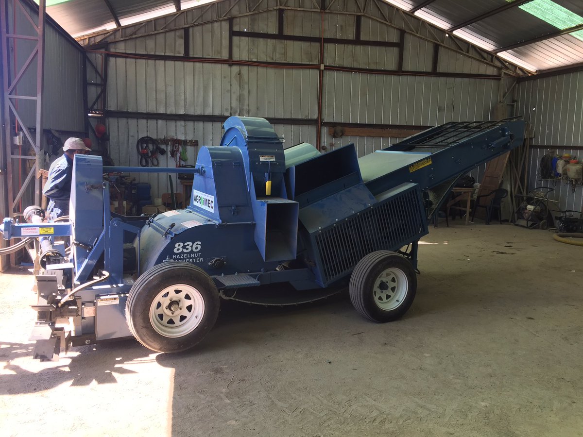 Regulando la cosechadora harvester 836 Weiss Mcnair para iniciar  la cosecha del avellano europeo distribuido por Agroimec