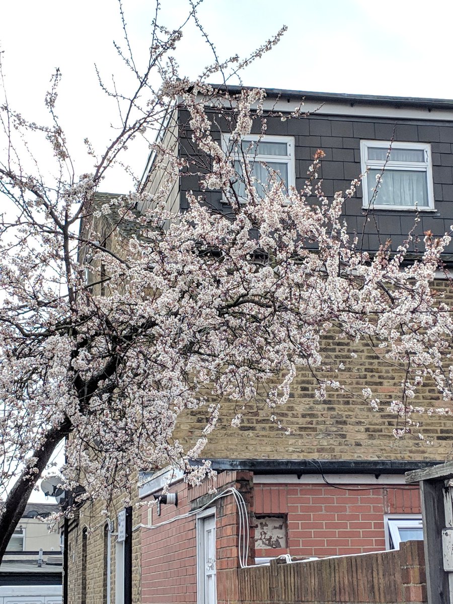 TreeLogga's tweet photo. Spring is in the air and we're back on the #TreeLogga trail.... Right, what have we missed?... https://t.co/aolBHq2j1v