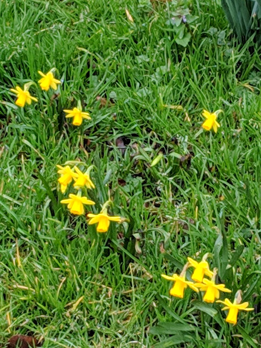 TreeLogga's tweet photo. Spring is in the air and we're back on the #TreeLogga trail.... Right, what have we missed?... https://t.co/aolBHq2j1v