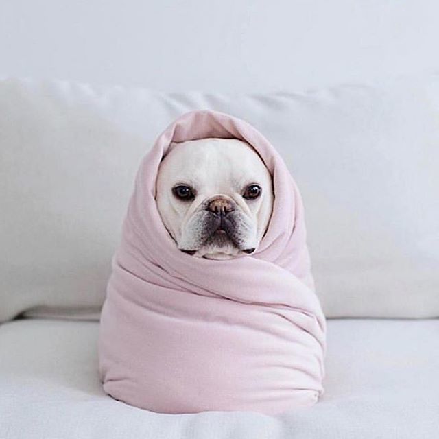 Pono Burger tweet media