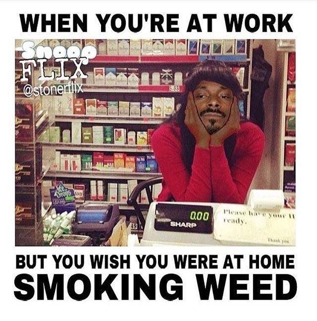 KingMike3000's tweet photo. #MondayThoughts #MondayReport #MondayMotivation #Monday #work #weedstagram #weed https://t.co/JQT7TS2osl