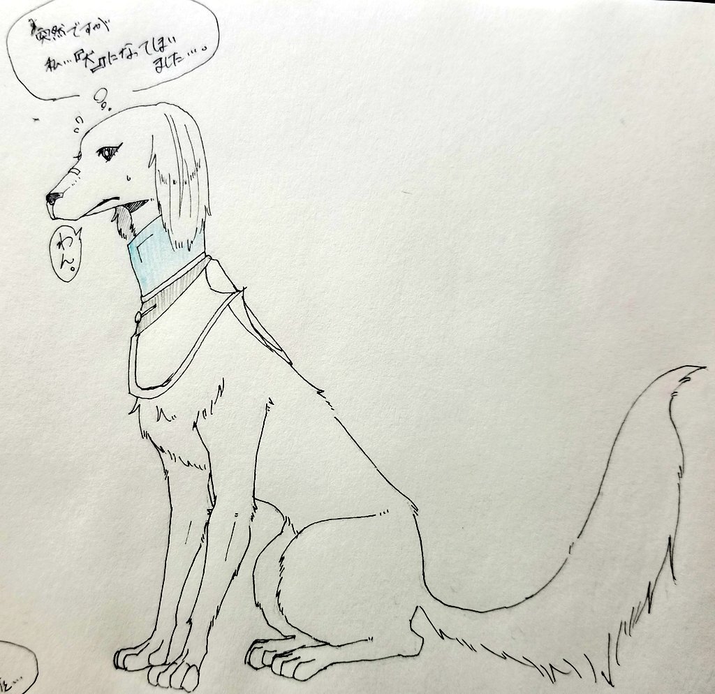 ねっちからのリクエスト～!
とりあえず犬猫バージョンww 