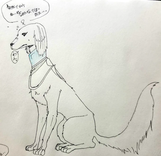 ねっちからのリクエスト～!
とりあえず犬猫バージョンww 