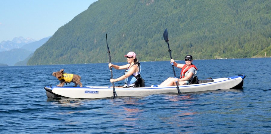 IK_World's tweet photo. Lead the way! 🐶 @seaeagleboats #inflatablekayak
https://t.co/JWftPn9TUK https://t.co/zvtkhd3Zij