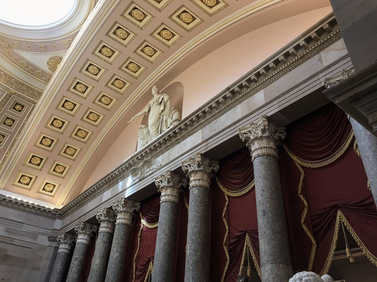 DrRobinEdge's tweet photo. Capital tour between legislative visits. 

#ASHAHillDay @JacksonvilleU @ASHAAdvocacy https://t.co/hrUXLRzlPm