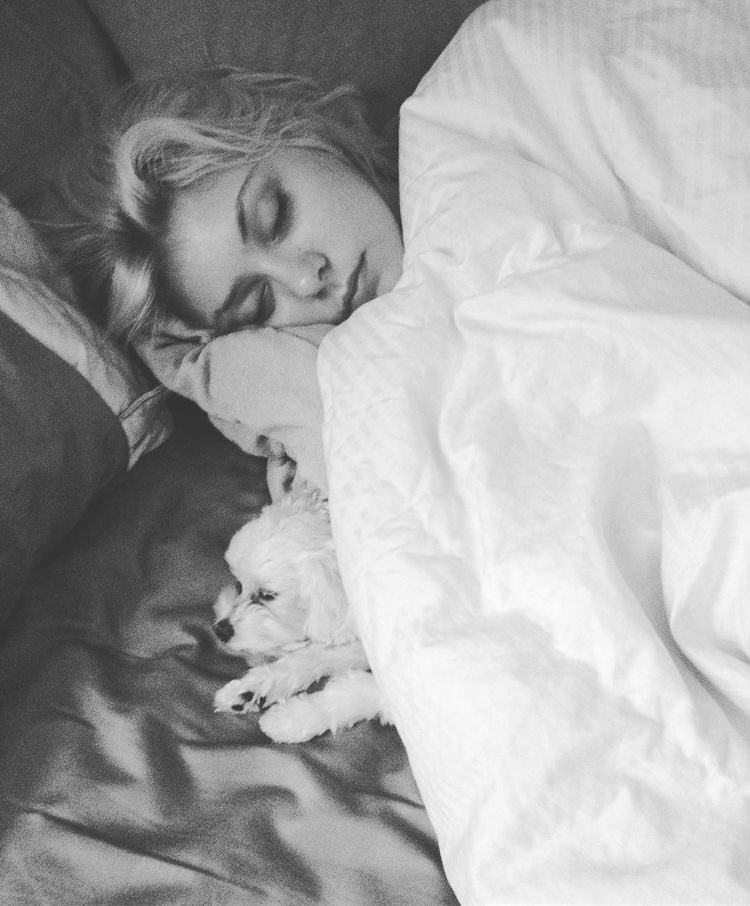 — sleepy kitty