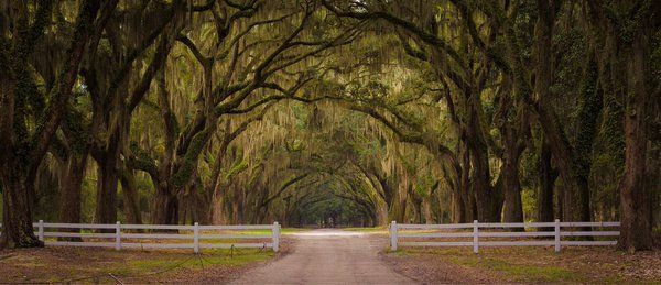 GAposts's tweet image. Savannah, Georgia