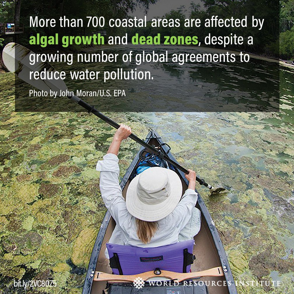 World Resources Institute tweet media