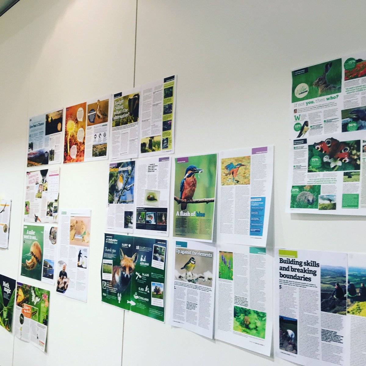 geniuscreative's tweet image. Fun magazine workshop in Birmingham with my Wildlife Trust crewe today #getcreative #magaizne #wildlife #nature