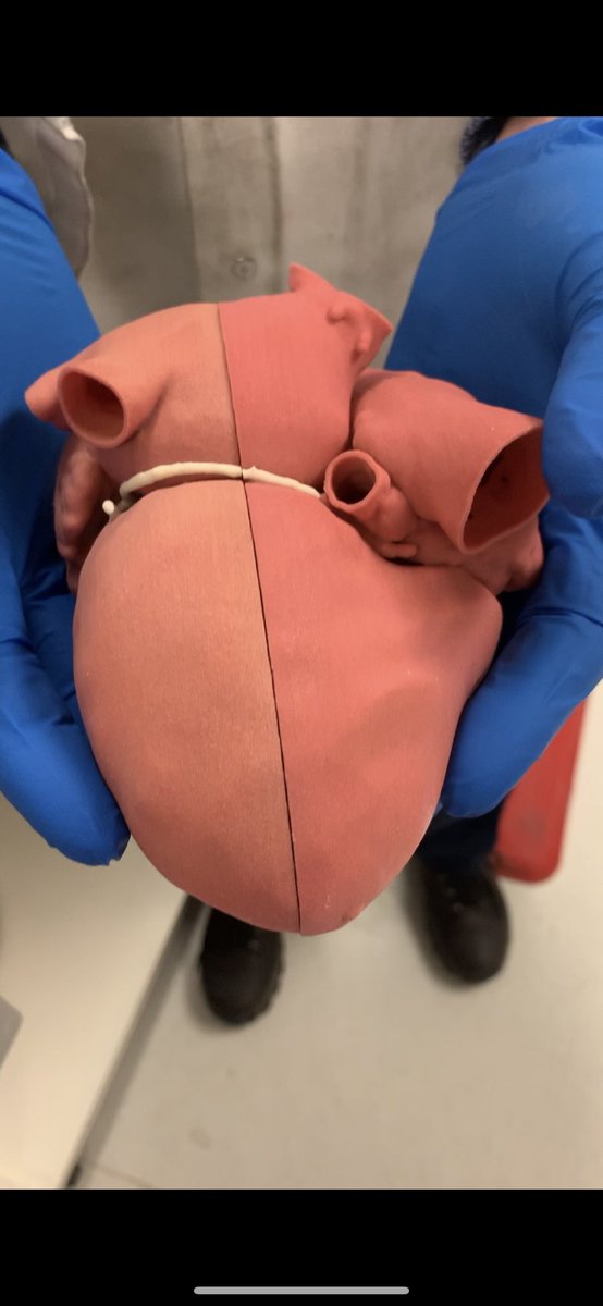 JayMorris_MD's tweet photo. When #3Dprinting multiple color parts on thr #projet660 build orientation, how long binder has been sitting & #color software optimization are all important. We often print multiple versions of patients models. Good #Service contracts are key. Thanks @3dsystems for helping https://t.co/Gr3WokaTTe