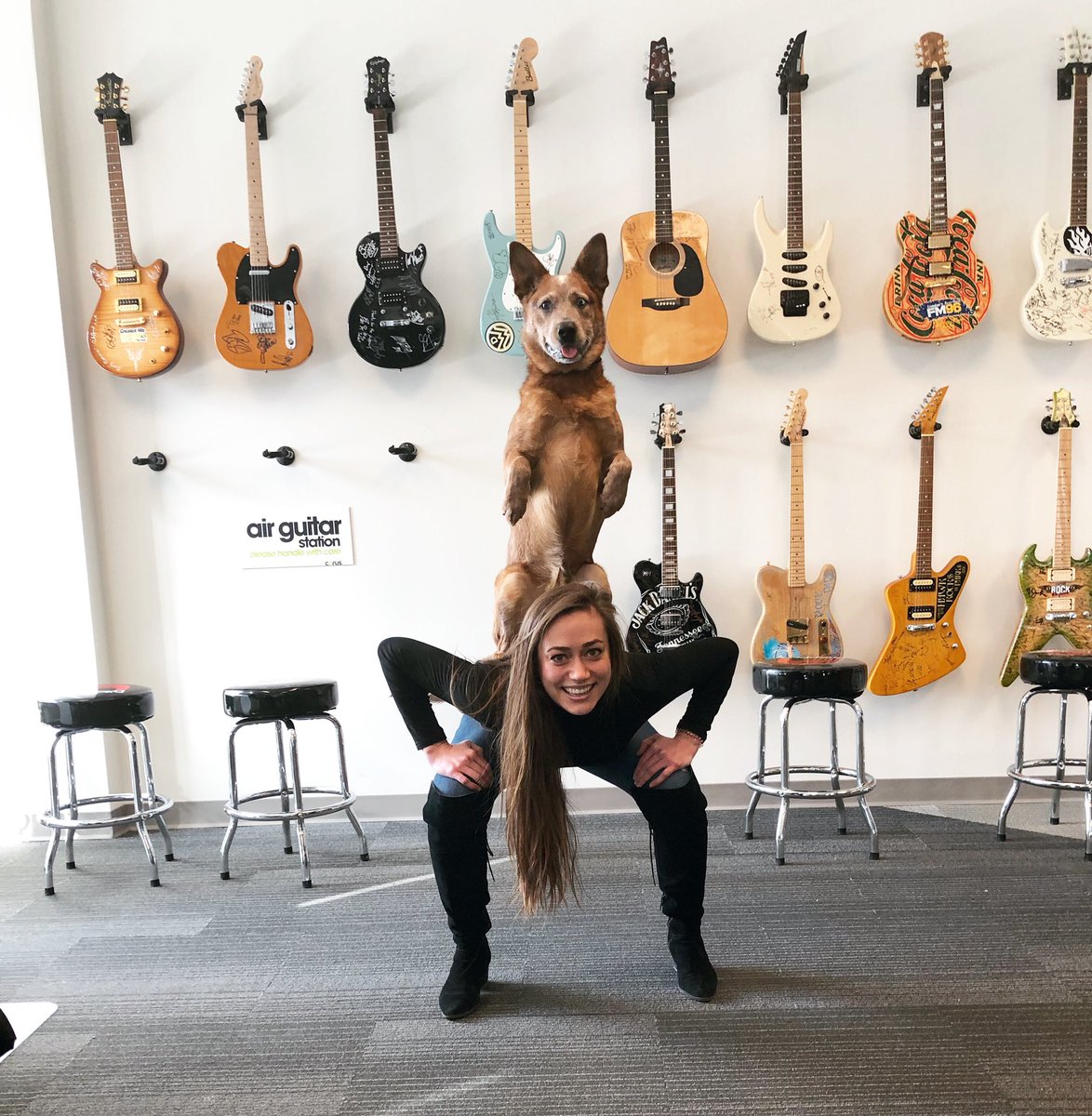 leeanneradio's tweet photo. I met a local celebrity today - Jellybean!! πΆ Jellybean has a shot at being crowned the Worldβs Most Amazing Dog! π #LdnOnt #Jellybean #MostAmazingDog #Rescue https://t.co/PUnFe6N8iK